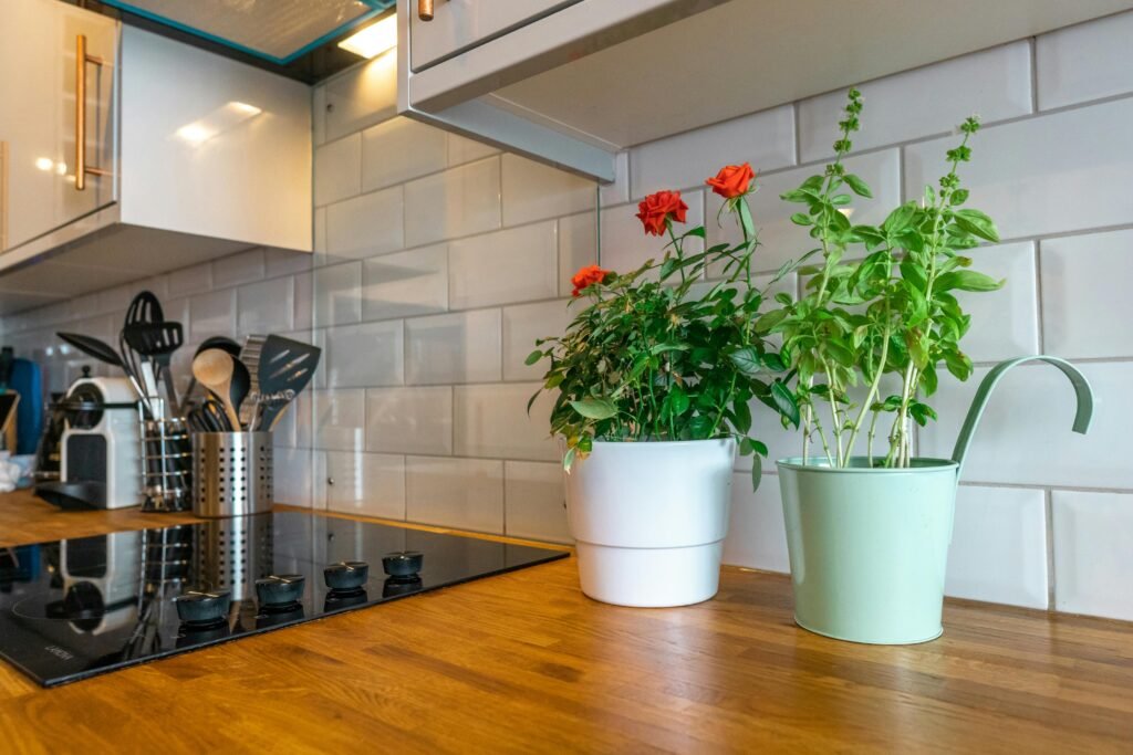 Kutchina kitchen appliances services